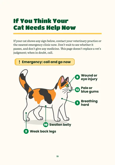 Page 19: If you think your cat needs help now, an illustrated guide to emergency signs