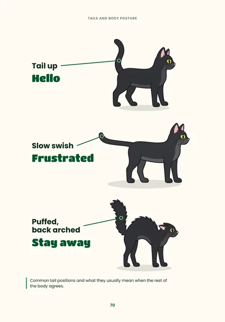 Page 70: tail positions and what they mean, tail up hello, slow swish frustrated, puffed stay away