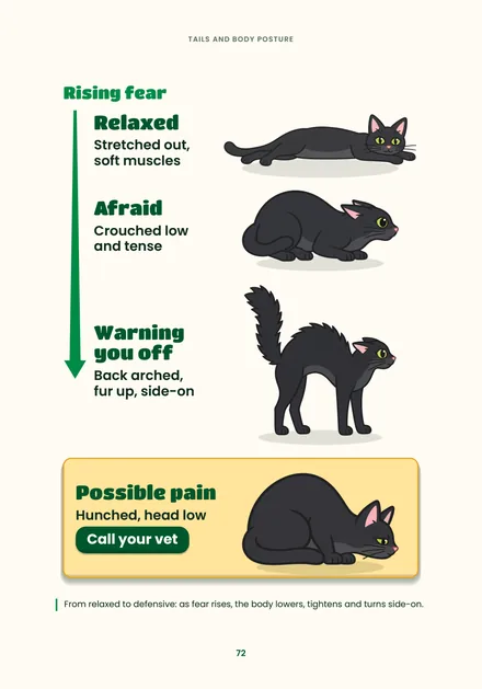 Page 72: rising fear, from relaxed to afraid to a warning, and possible pain